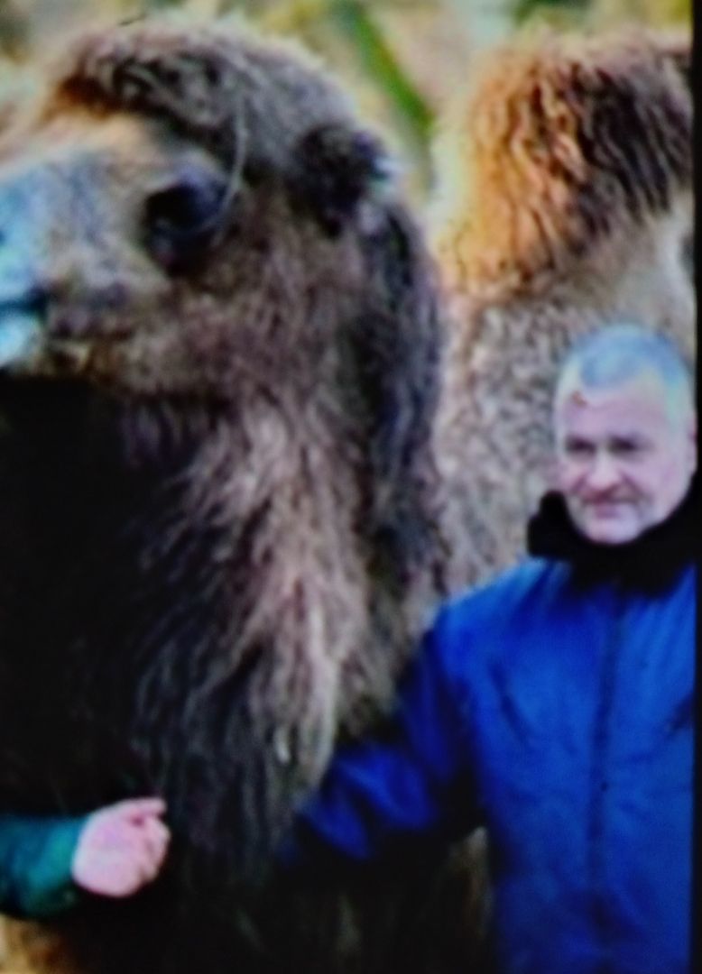 Junges Girl für Heirat gesucht! Kind & Schwanger Okay! Ausländische Asylantin Oky