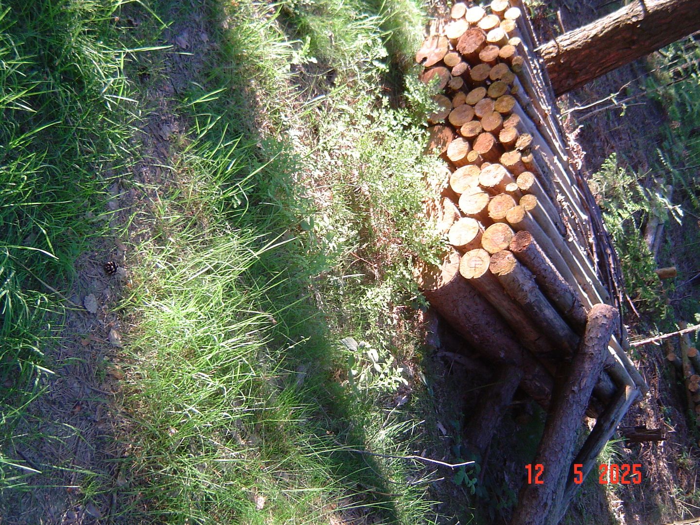 Rollenfeuerholz nur Abholung mgl. Rollenfeuerholz nur Abholung mgl.