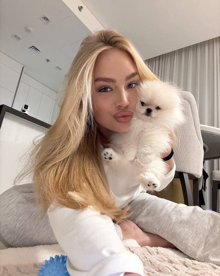 Teacup Pomeranian Welpen zur Adoption