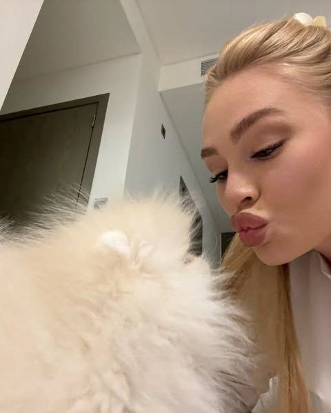 Teacup Pomeranian Welpen zur Adoption