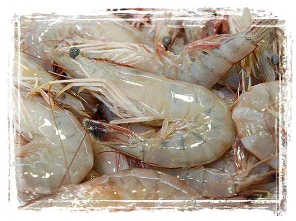 Hochwertige Meeresfrüchte jetzt im Angebot