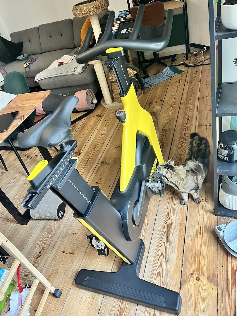 Technogym Bike Heimtrainer