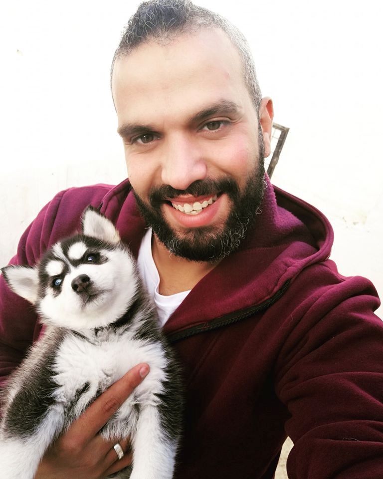 Wünderschöne Siberian Husky Welpen-WHATSAPP::+4915510348975