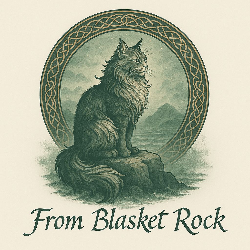 🐾 Maine Coon Kitten mit Herz & Magie – aus liebevoller Hobbyzucht „From Blasket Rock“