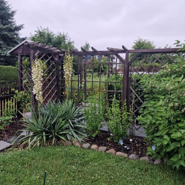 Traumgarten mit 1 Zimmer Haus südlich von Leipzig ca. 15 min. abzugeben Traumgarten mit 1 Zimmer Haus südlich von Leipzig ca. 15 min. abzugeben