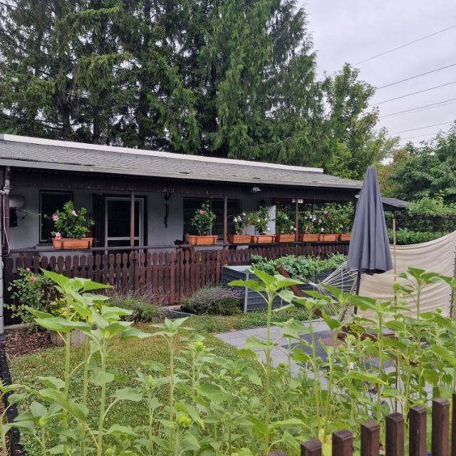 Traumgarten mit 1 Zimmer Haus südlich von Leipzig ca. 15 min. abzugeben Traumgarten mit 1 Zimmer Haus südlich von Leipzig ca. 15 min. abzugeben