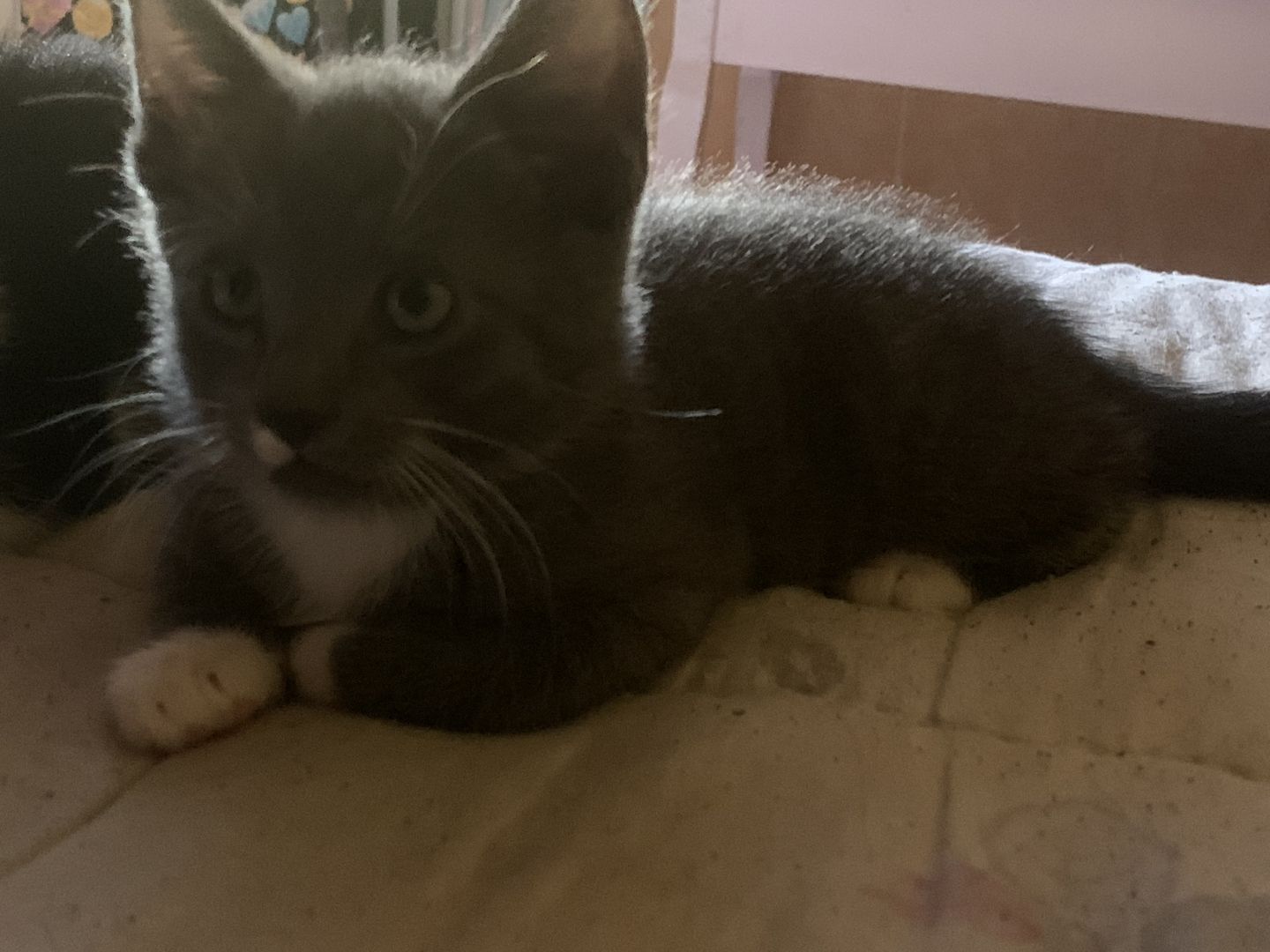 Dosenöffner gesucht