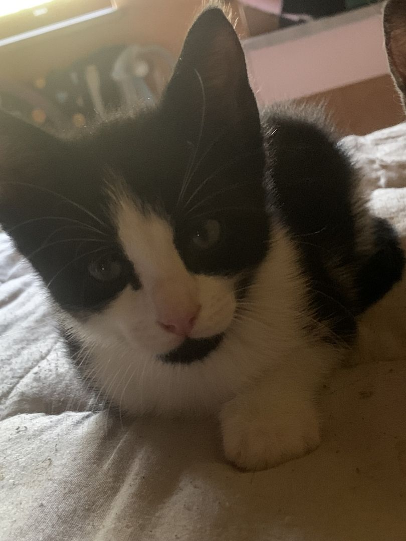 Dosenöffner gesucht