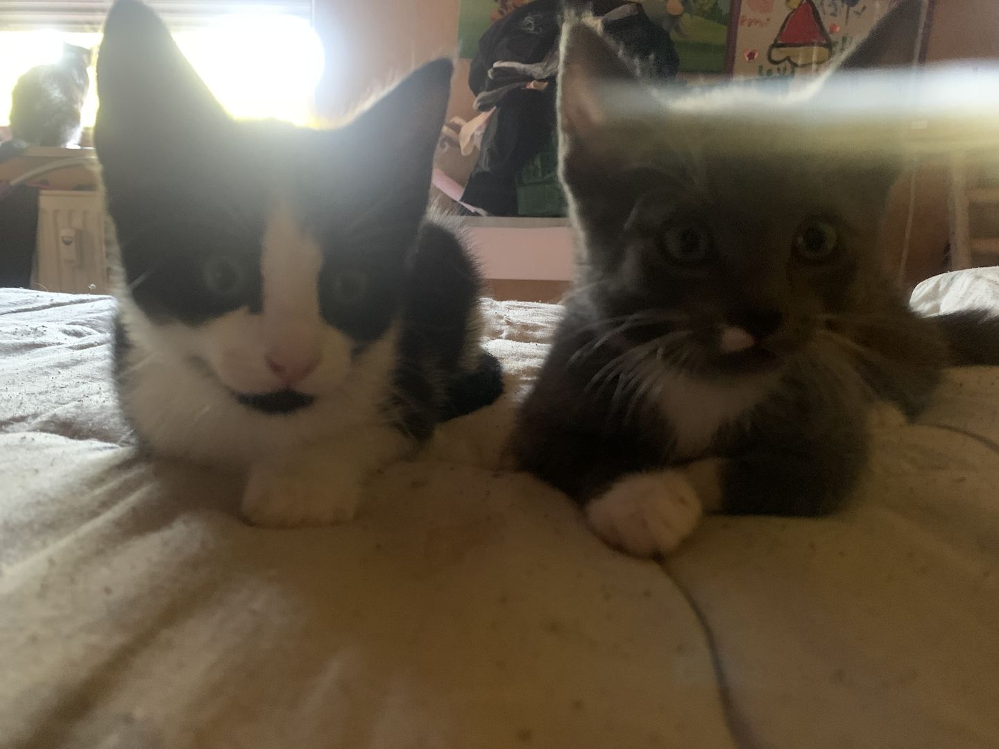 Dosenöffner gesucht