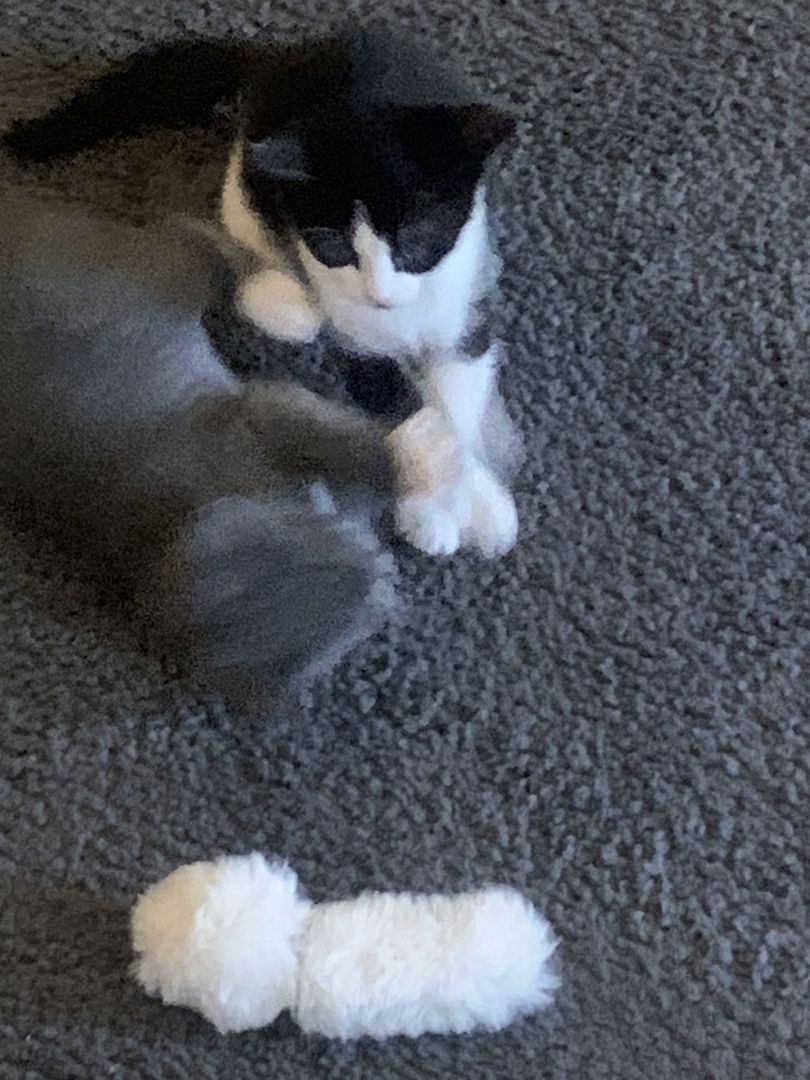 Dosenöffner gesucht