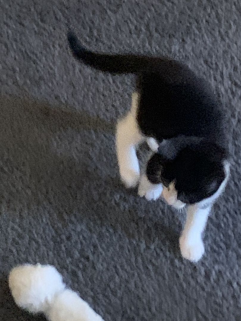 Dosenöffner gesucht