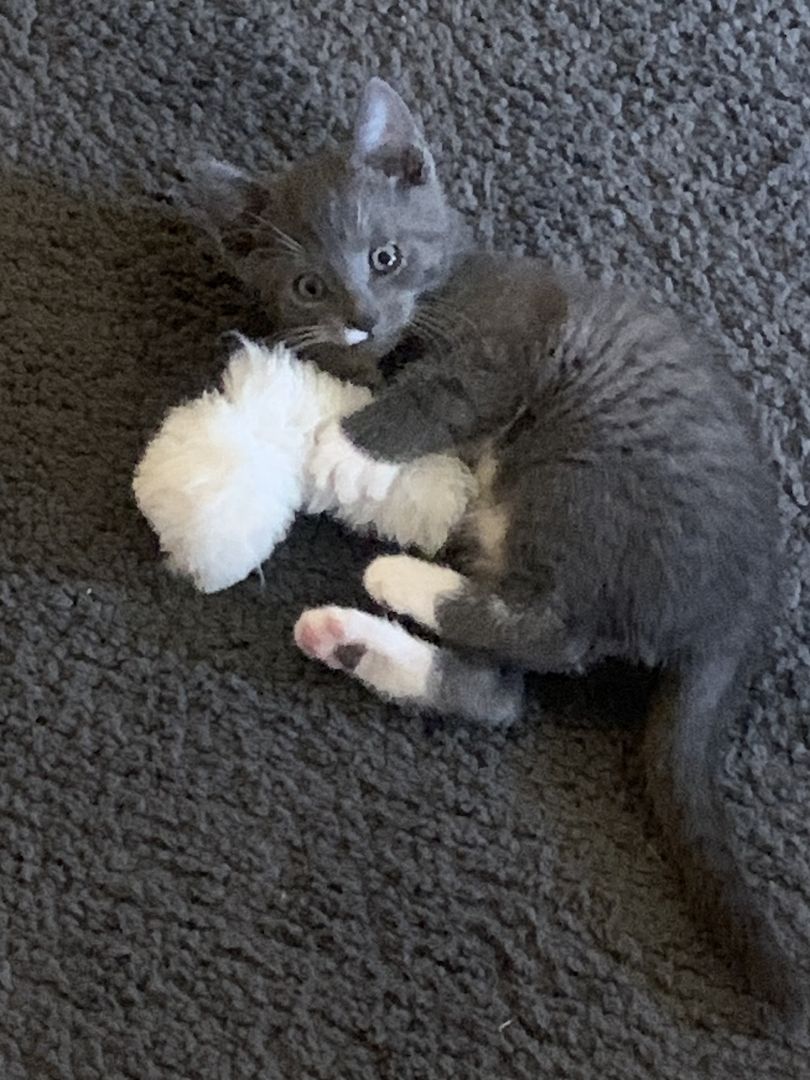 Dosenöffner gesucht