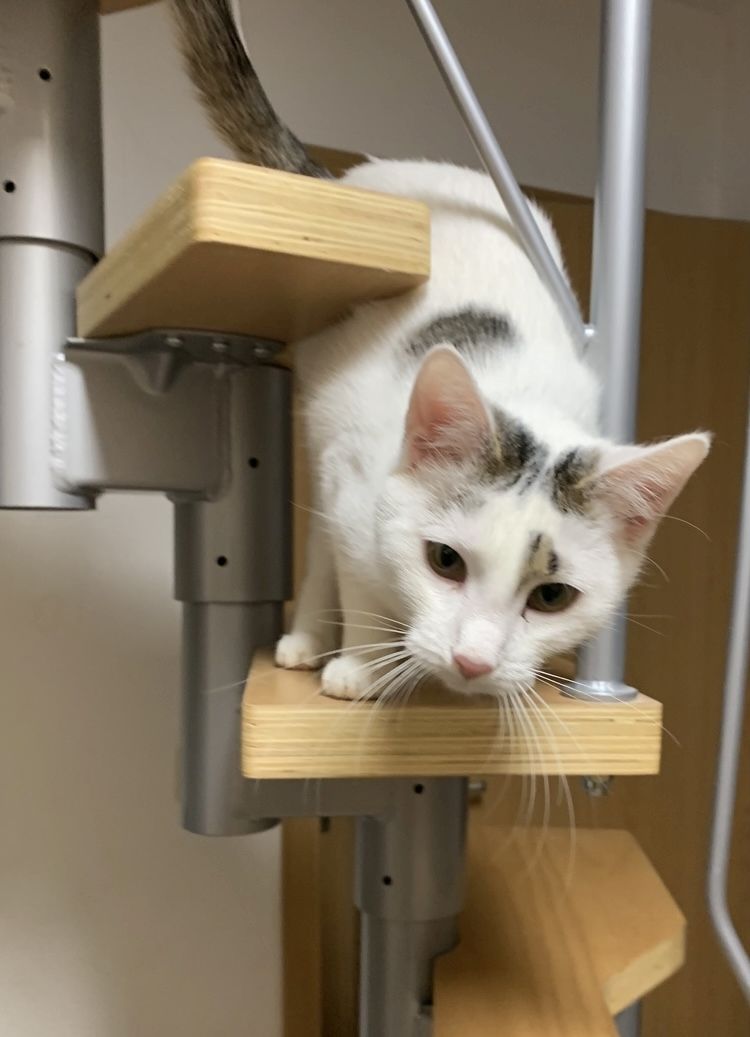 2 Geschwister suchen ein gemeinsames Zuhause