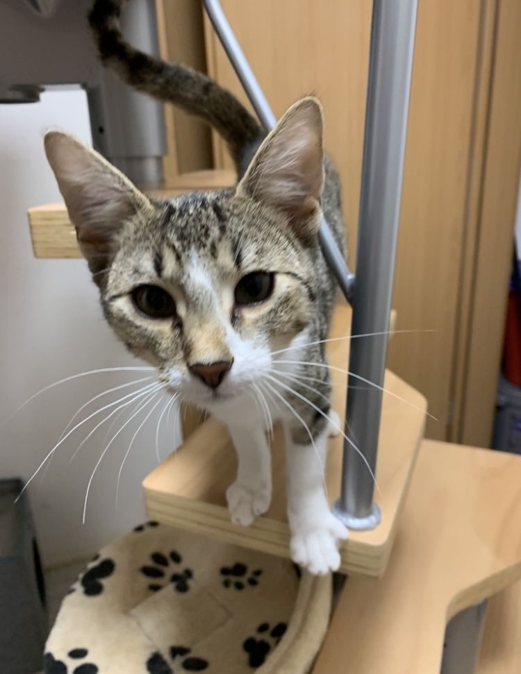 2 Geschwister suchen ein gemeinsames Zuhause