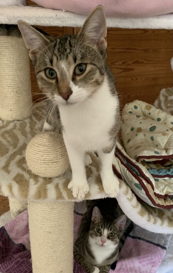 2 Geschwister suchen ein gemeinsames Zuhause