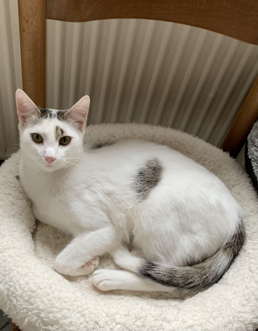 2 Geschwister suchen ein gemeinsames Zuhause