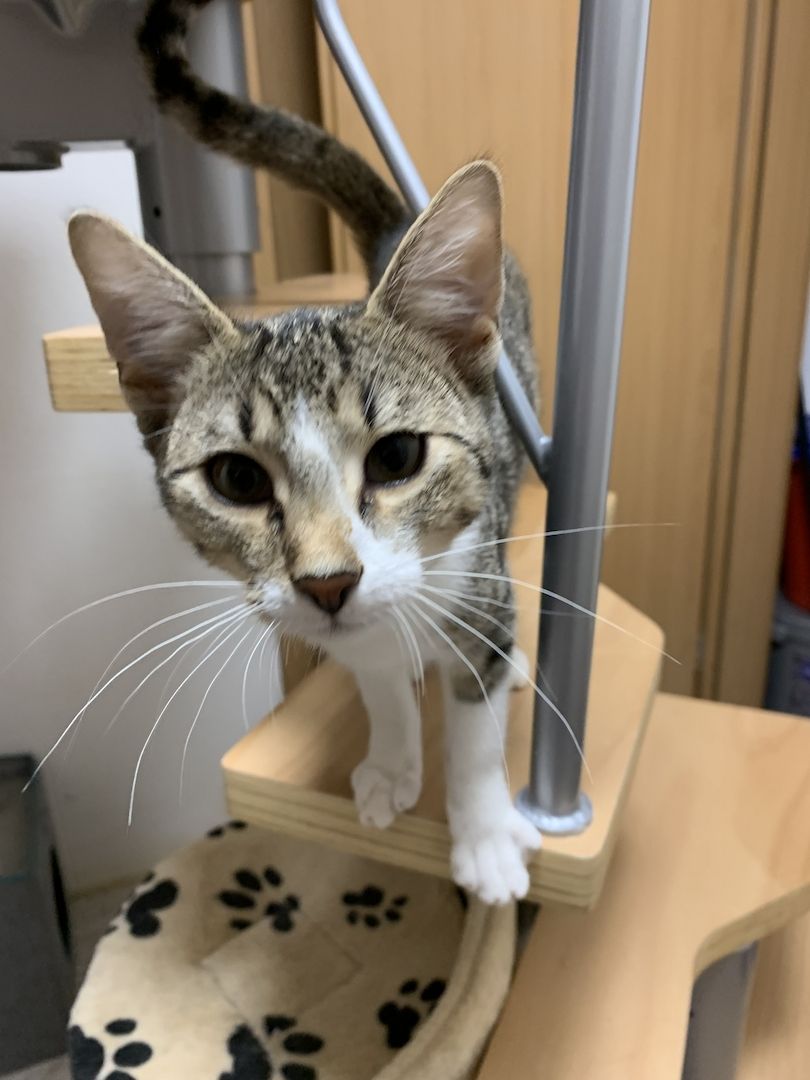 2 Geschwister suchen ein gemeinsames Zuhause