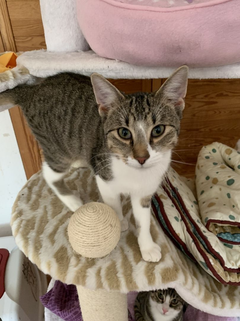 2 Geschwister suchen ein gemeinsames Zuhause