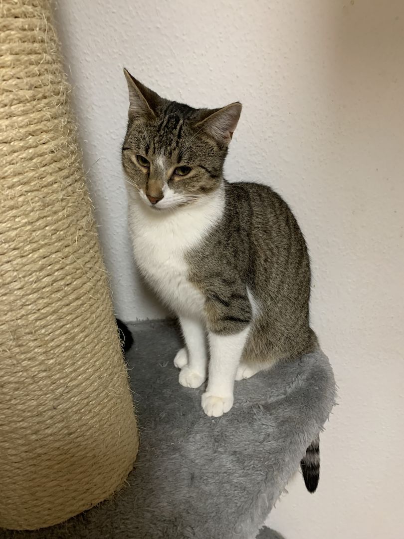 2 Geschwister suchen ein gemeinsames Zuhause