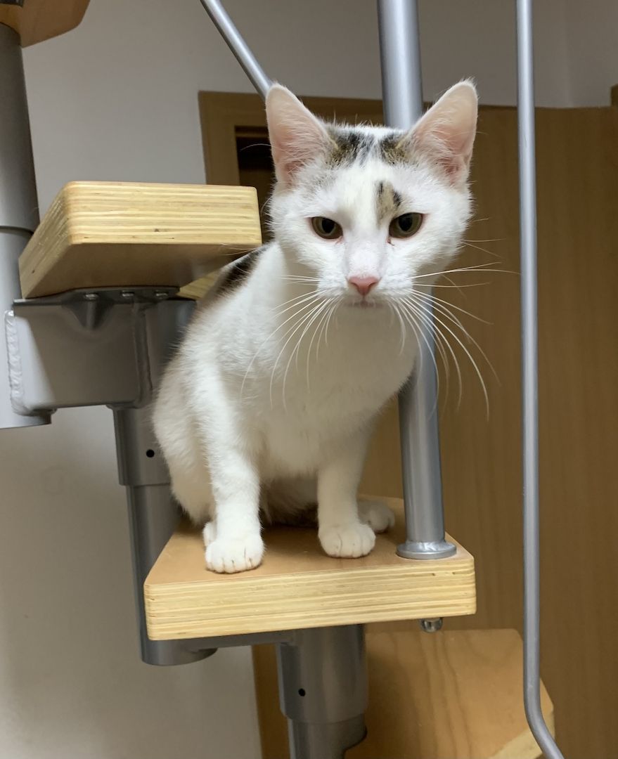 2 Geschwister suchen ein gemeinsames Zuhause