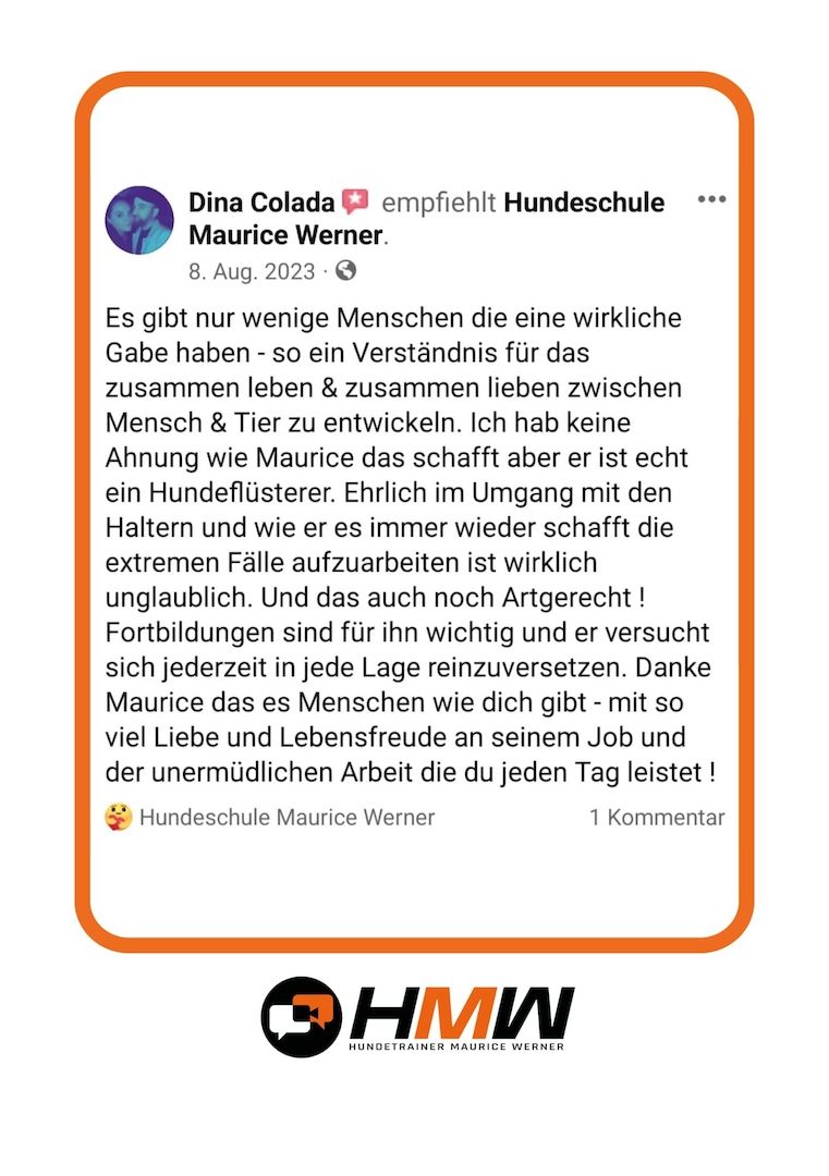 Innovatives Hundetraining durch Videoanalyse