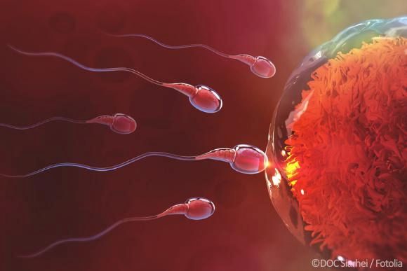 Diskret und anonym Schwängern Befruchtung für Frauen