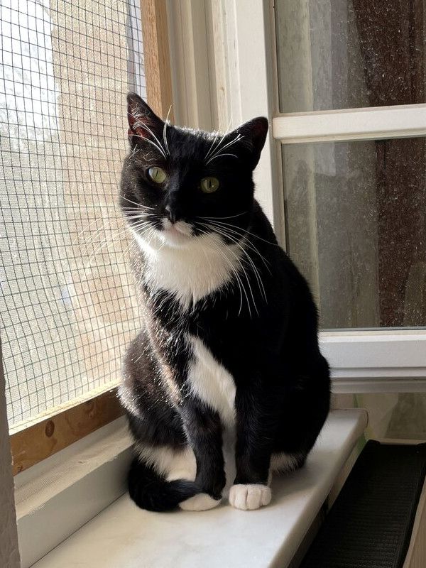 TONJA & MAXI - Traumpaar sucht gemeinsames Zuhause