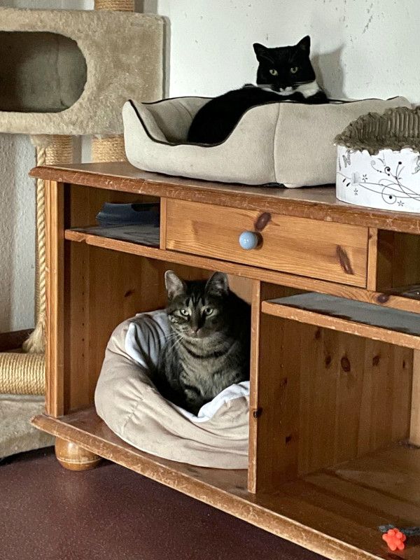 TONJA & MAXI - Traumpaar sucht gemeinsames Zuhause