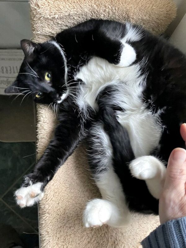 TONJA & MAXI - Traumpaar sucht gemeinsames Zuhause