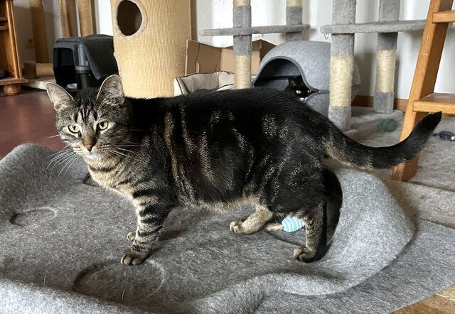 TONJA & MAXI - Traumpaar sucht gemeinsames Zuhause