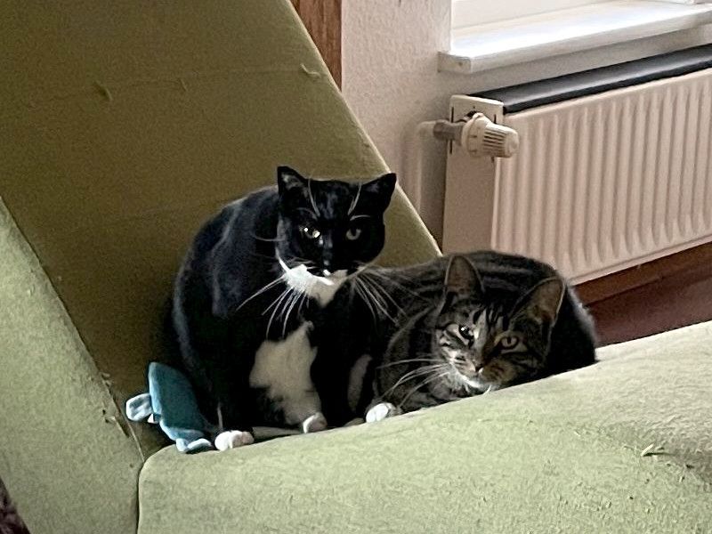 TONJA & MAXI - Traumpaar sucht gemeinsames Zuhause