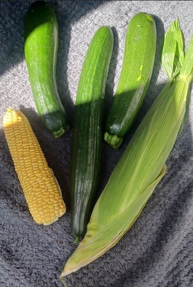 Gurke oder Maiskolben ? 🥒🥒18+ Du hast die Wahl Orgasmus ohne Schwanzkontakt 🥒🥒