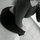 Leyni Profilbild