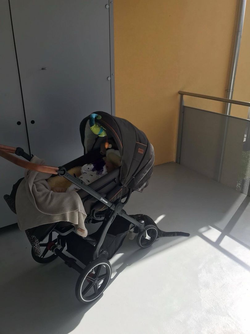 Kinderwagen Gesslein Kinderwagen Gesslein