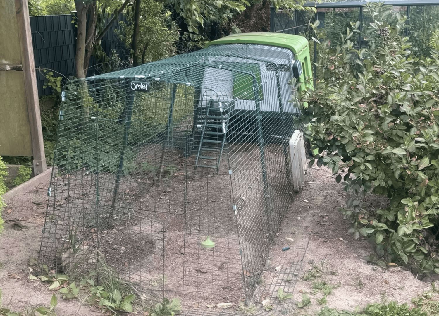 Omlet Eglu Cube Hühnerstall