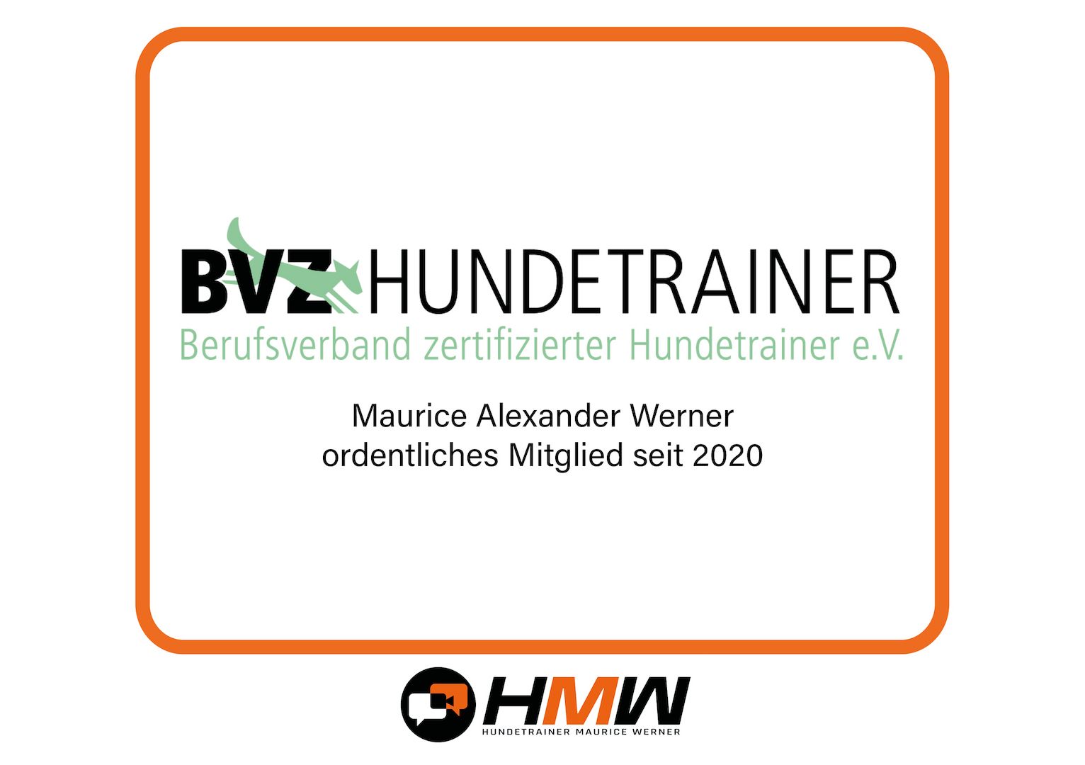 Innovatives Hundetraining durch Videoanalyse
