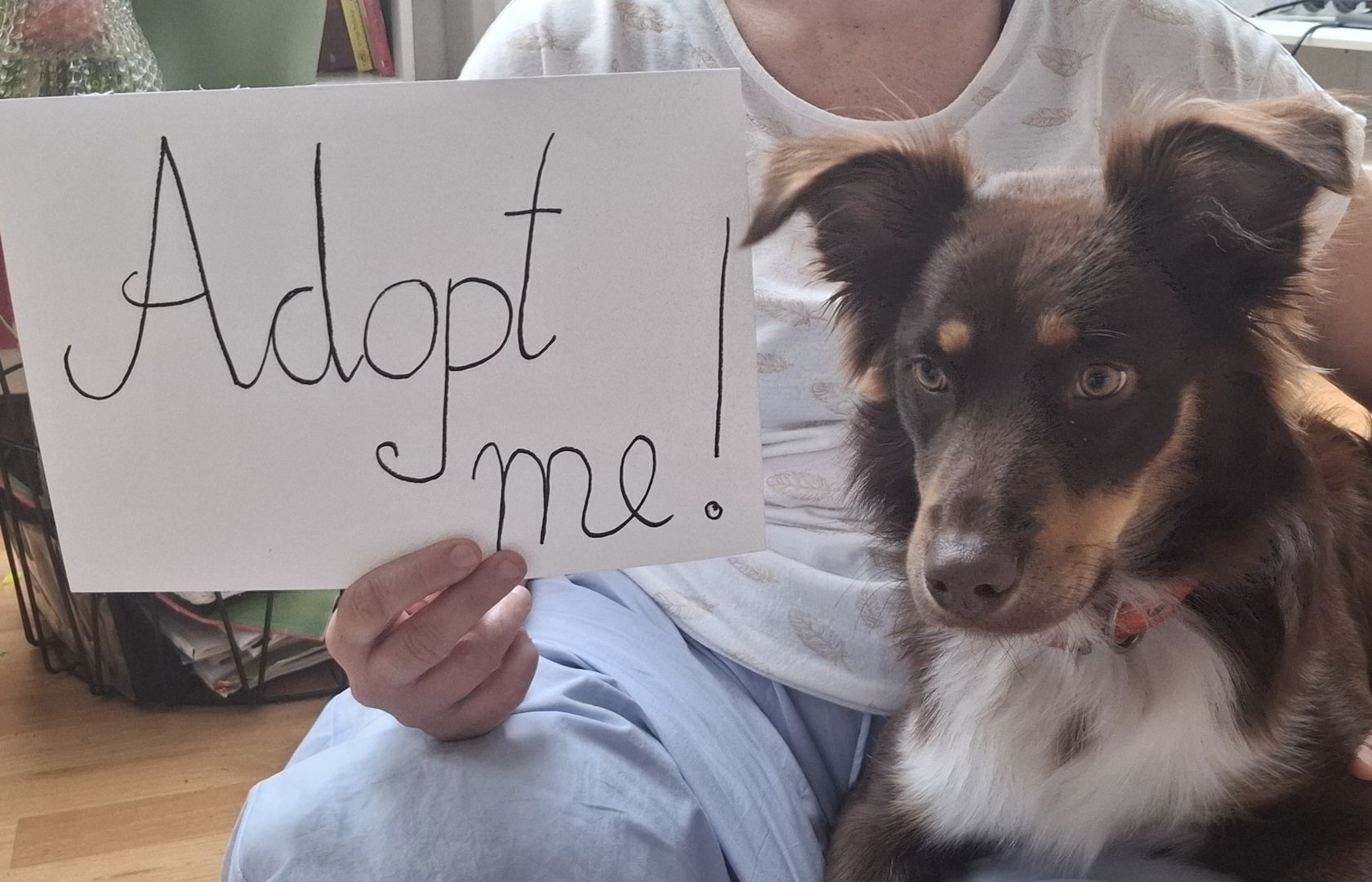 Adoptiere mich!