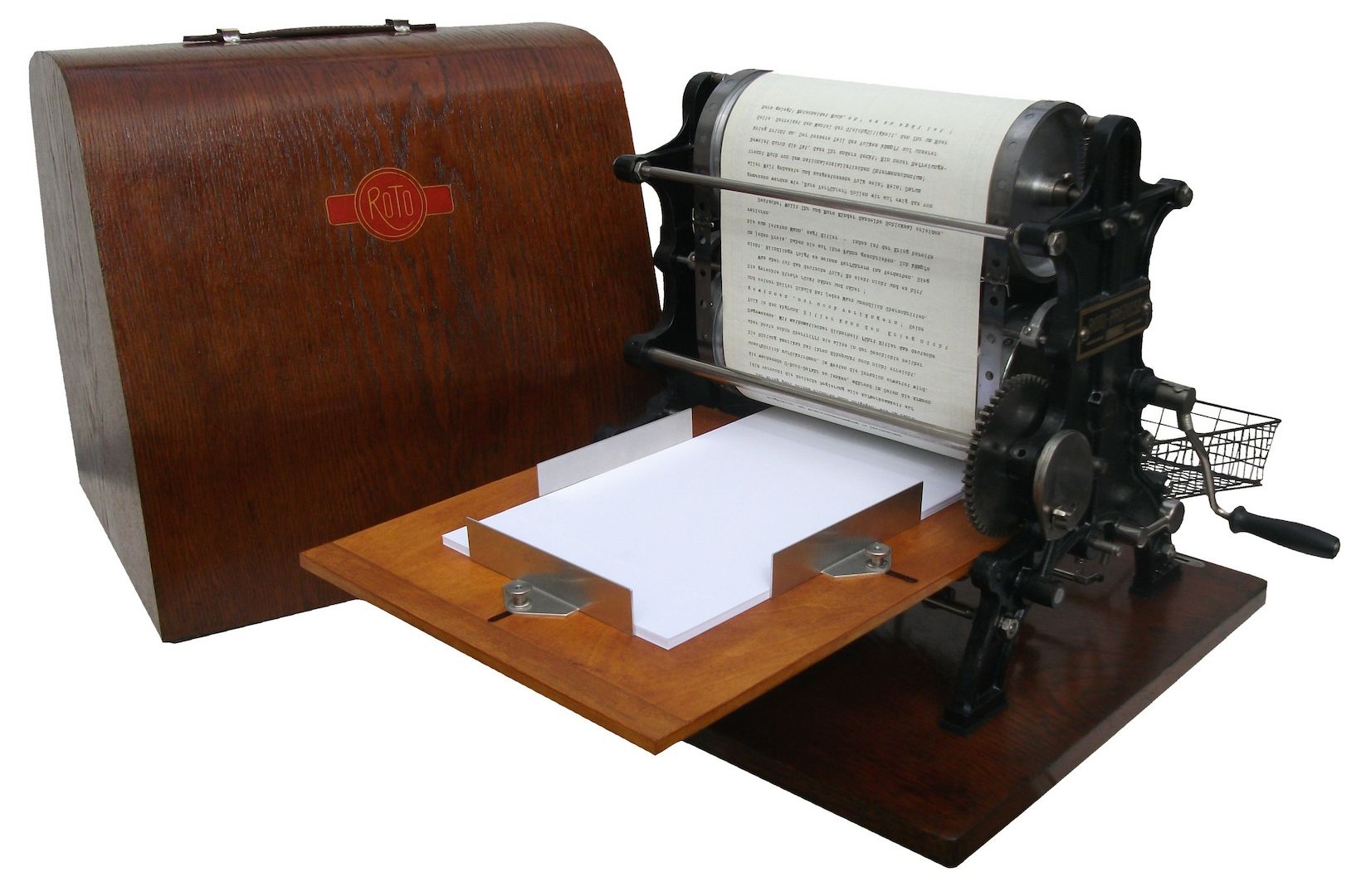 Weisse Rose - Dauer - Ausstellung, weltweit einzigartig und einmalig (Schenkung)