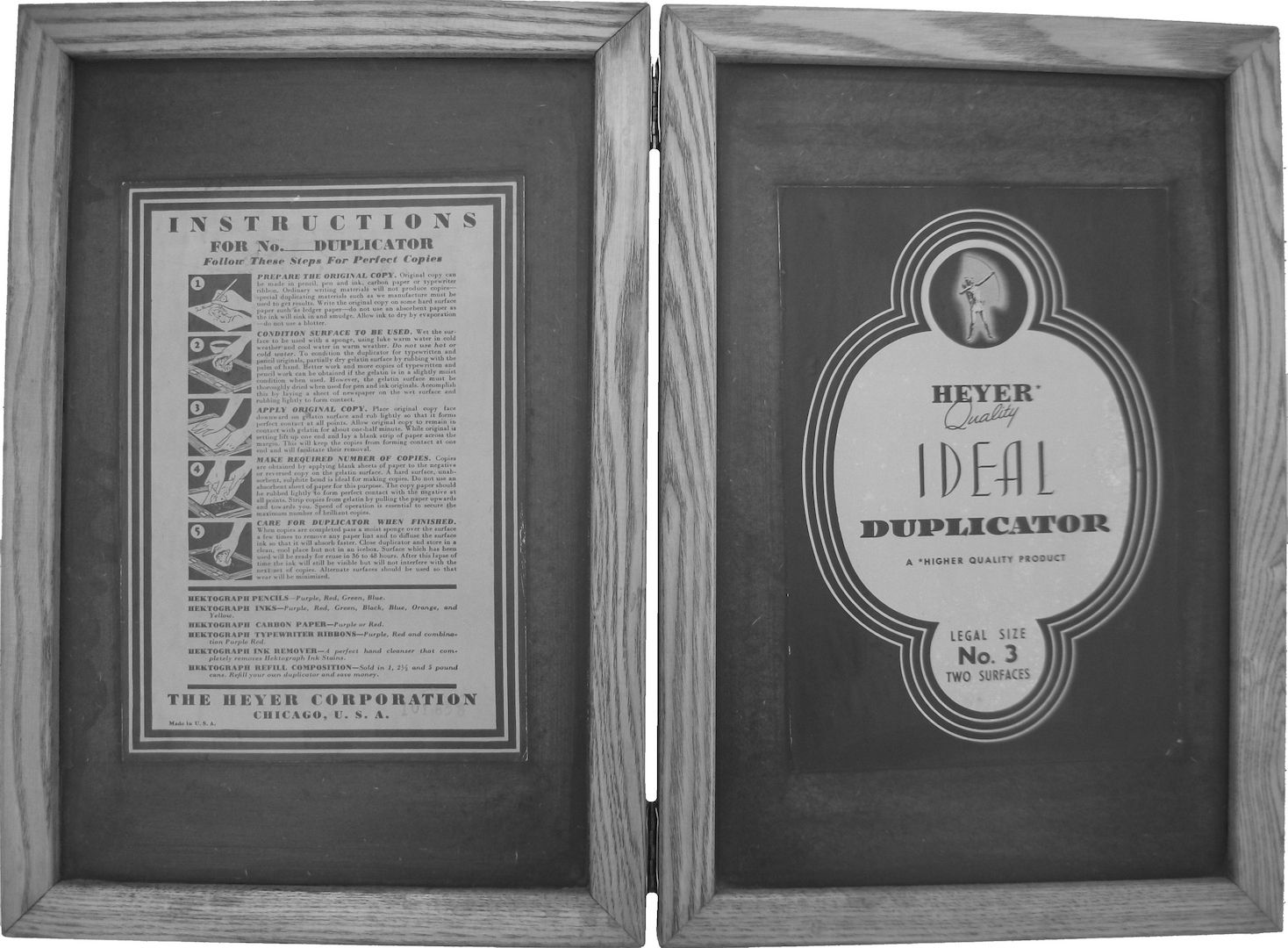 Weisse Rose - Dauer - Ausstellung, weltweit einzigartig und einmalig (Schenkung)