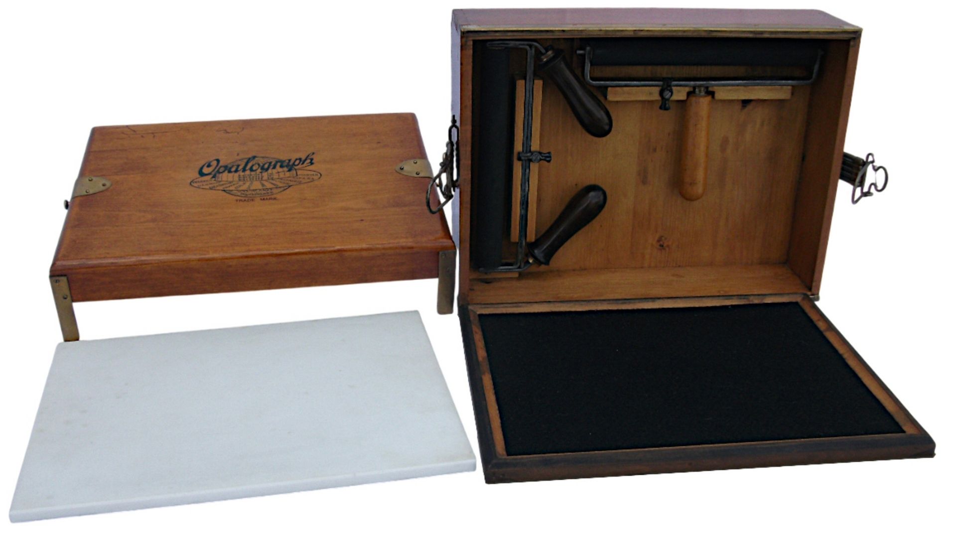 Weisse Rose - Dauer - Ausstellung, weltweit einzigartig und einmalig (Schenkung)