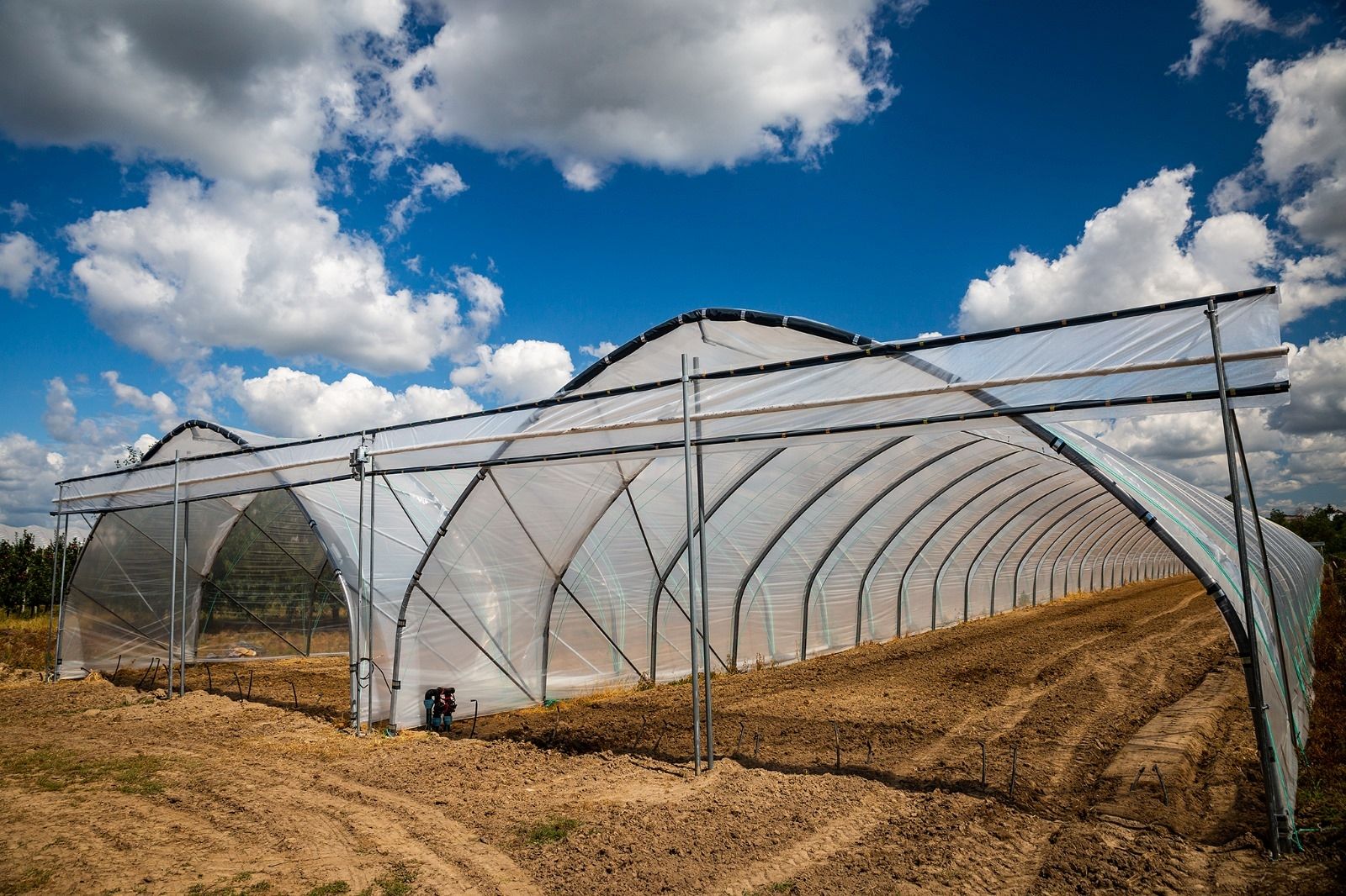 Folientunnel, Gewächshaus, Pflanzzelt Folienzeltsystem Folienzelt Bogenhalle Folienhaus Treibhaus