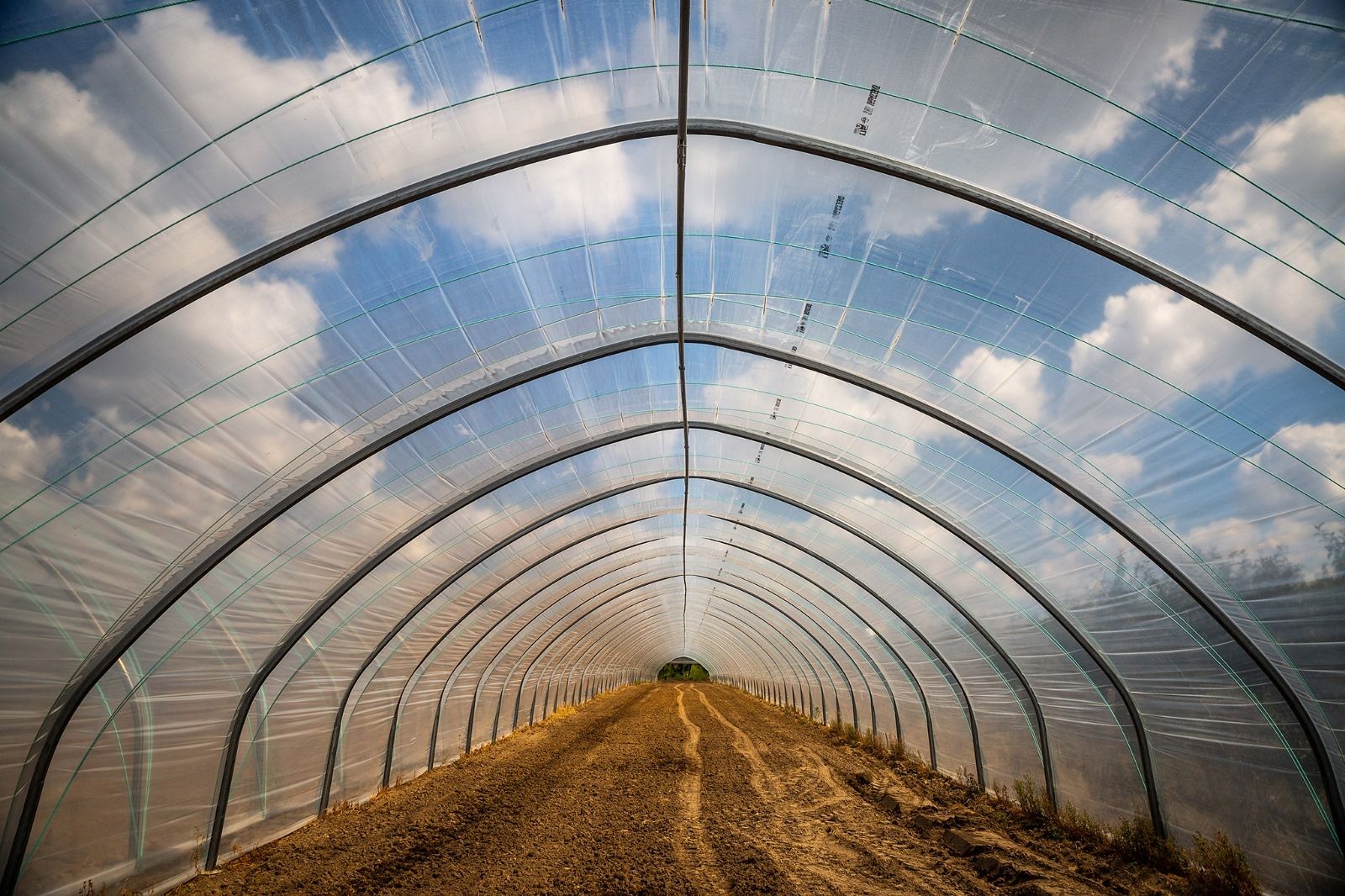Folientunnel, Gewächshaus, Pflanzzelt Folienzeltsystem Folienzelt Bogenhalle Folienhaus Treibhaus