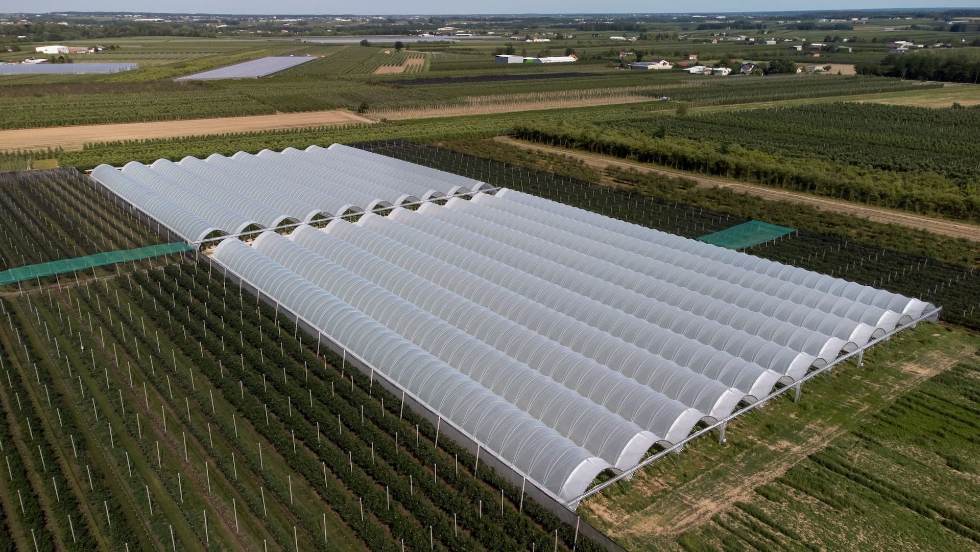 Folientunnel, Gewächshaus, Pflanzzelt Folienzeltsystem Folienzelt Bogenhalle Folienhaus Treibhaus