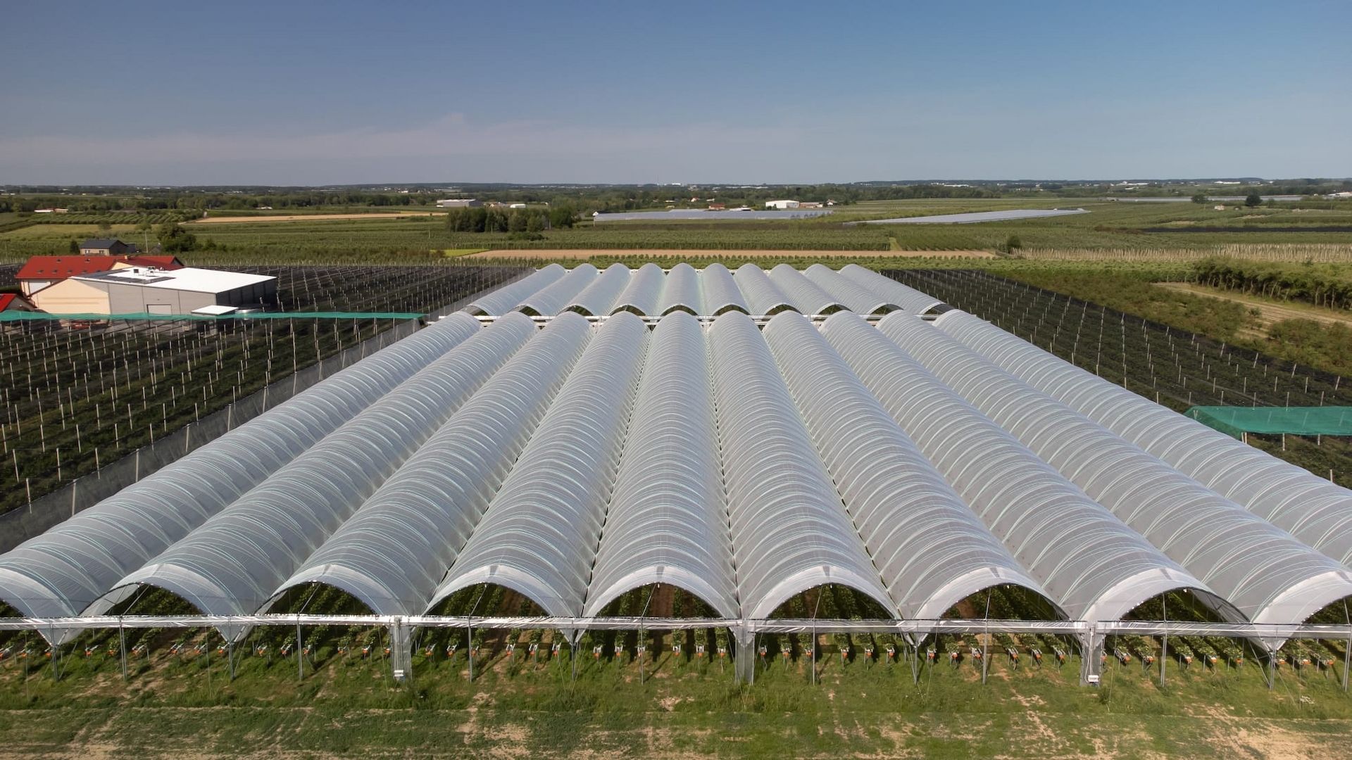 Folientunnel, Gewächshaus, Pflanzzelt Folienzeltsystem Folienzelt Bogenhalle Folienhaus Treibhaus
