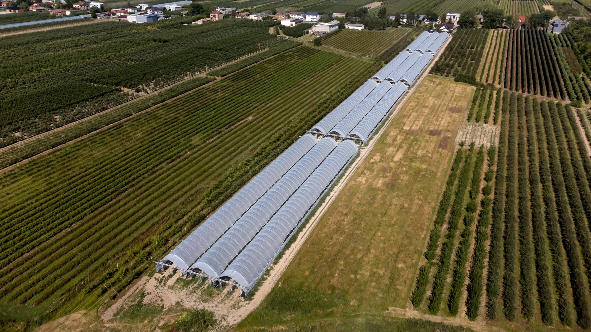Folientunnel, Gewächshaus, Pflanzzelt Folienzeltsystem Folienzelt Bogenhalle Folienhaus Treibhaus