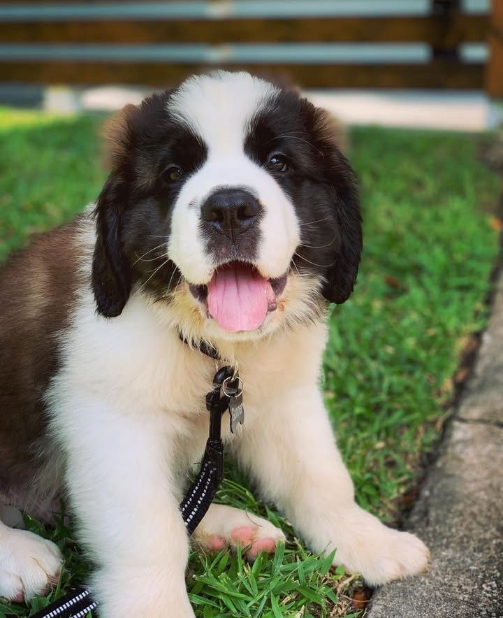 Suche ein neues Zuhause.