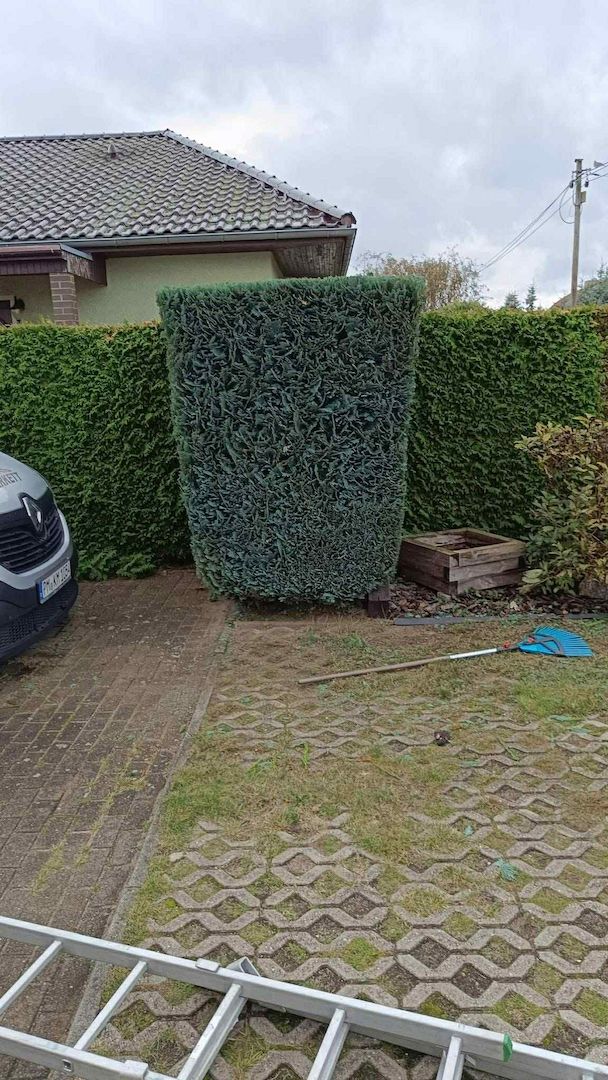 Zuverlässige Gartenhilfe gesucht? Ich helfe gern – Rasen, Hecken, Holz & mehr 