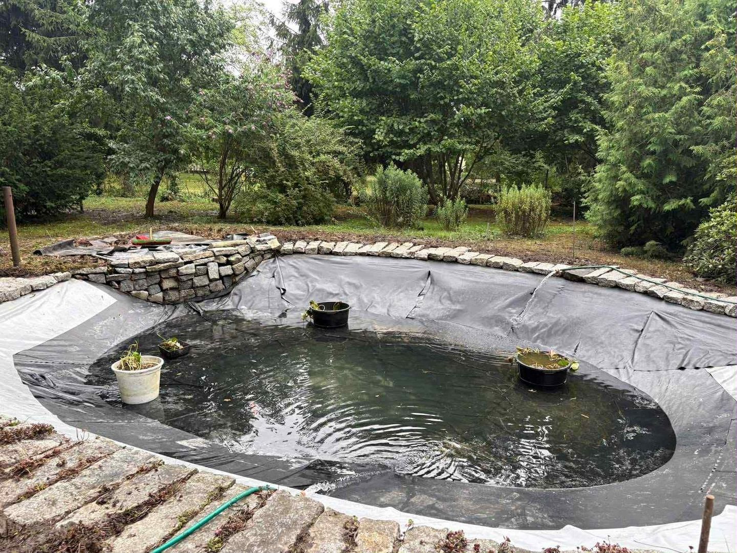 Zuverlässige Gartenhilfe gesucht? Ich helfe gern – Rasen, Hecken, Holz & mehr 