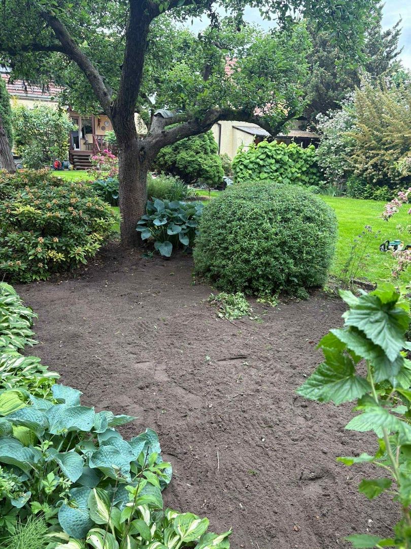 Zuverlässige Gartenhilfe gesucht? Ich helfe gern – Rasen, Hecken, Holz & mehr 