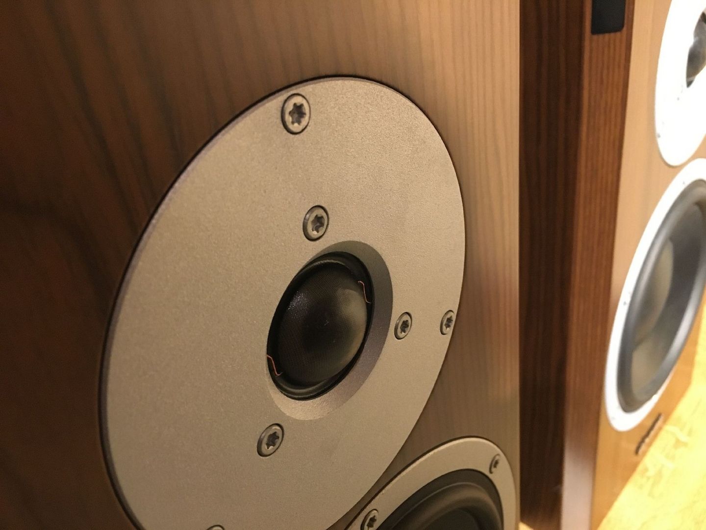 Dynaudio Focus 200 XD walnuss Aktiver Regallautsprecher Dynaudio Focus 200 XD walnuss Aktiver Regallautsprecher